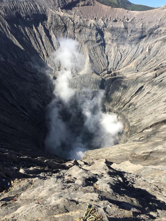 Bromo Tanjung Lejlighed Tosari Eksteriør billede