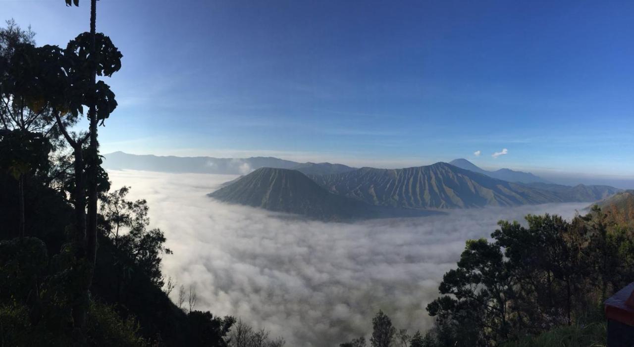 Bromo Tanjung Lejlighed Tosari Eksteriør billede