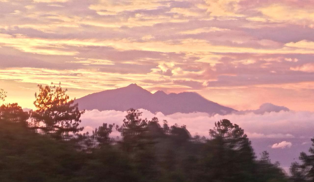 Bromo Tanjung Lejlighed Tosari Eksteriør billede