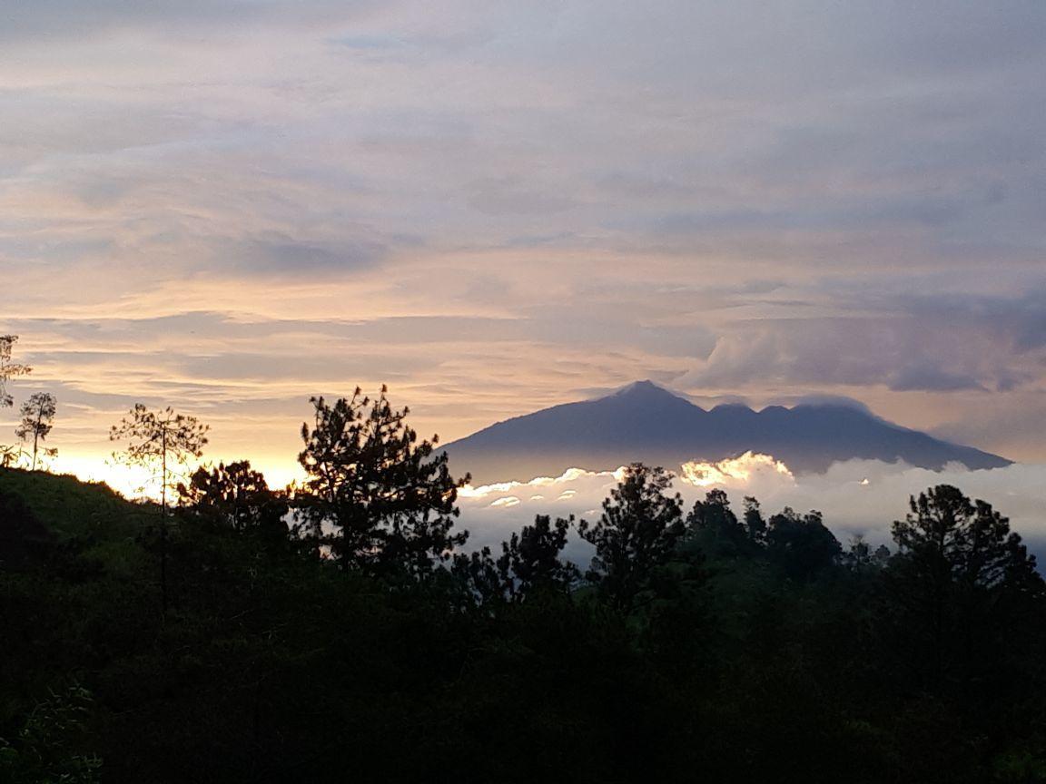 Bromo Tanjung Lejlighed Tosari Eksteriør billede